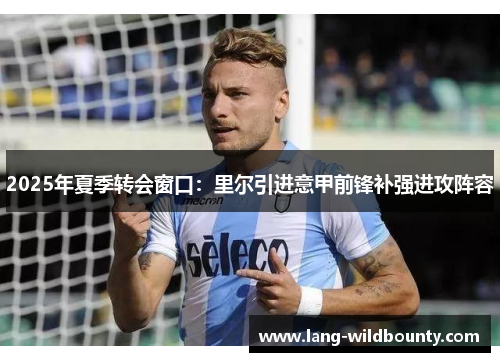 2025年夏季转会窗口：里尔引进意甲前锋补强进攻阵容